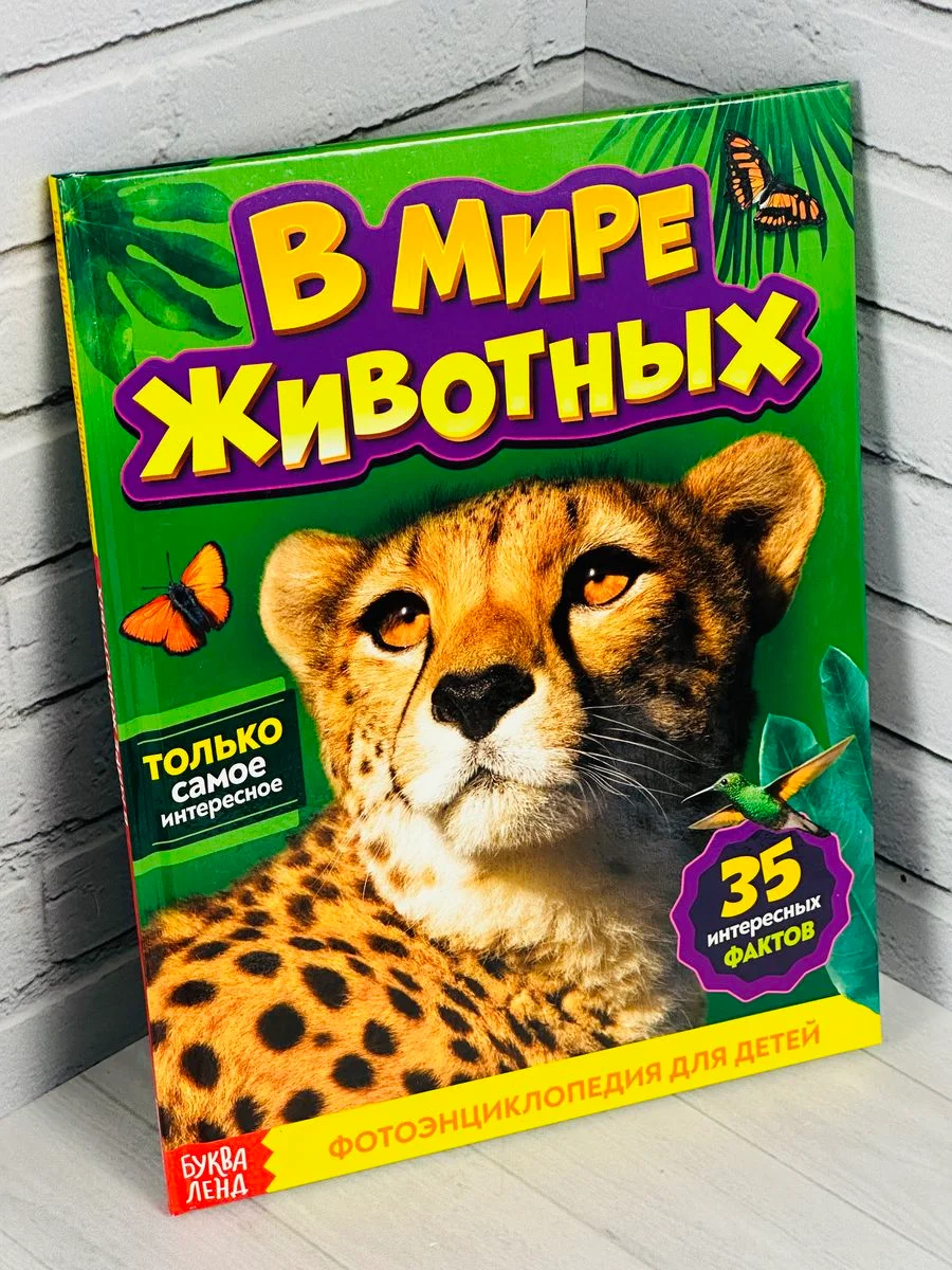 Энциклопедия для детей В мире животных Фото Картинки 48стр