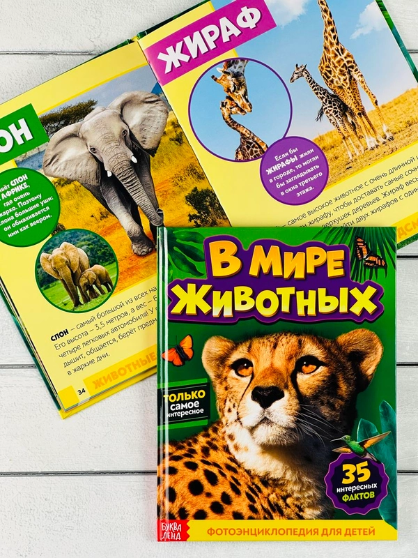 Энциклопедия для детей В мире животных Фото Картинки 48стр