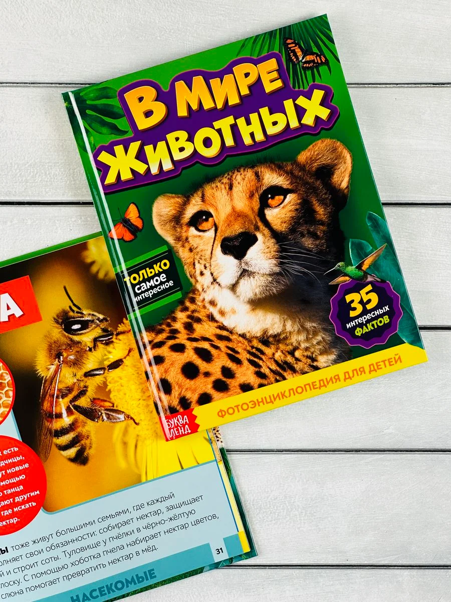 Энциклопедия для детей В мире животных Фото Картинки 48стр