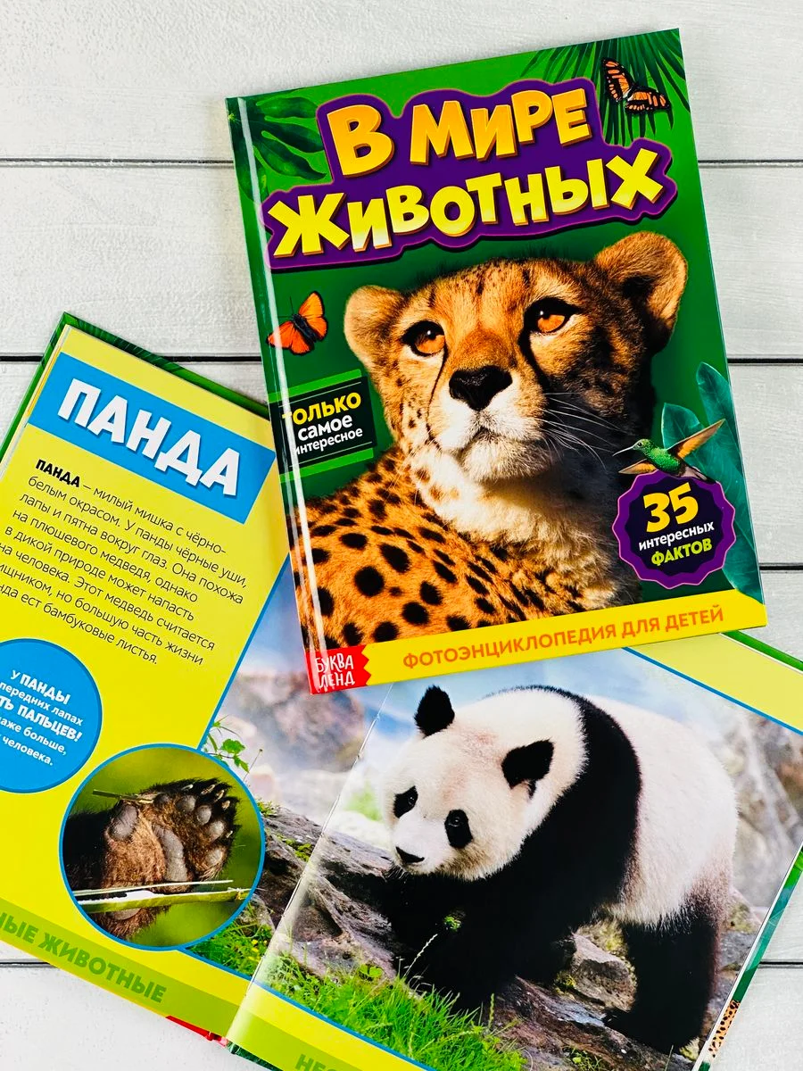 Энциклопедия для детей В мире животных Фото Картинки 48стр