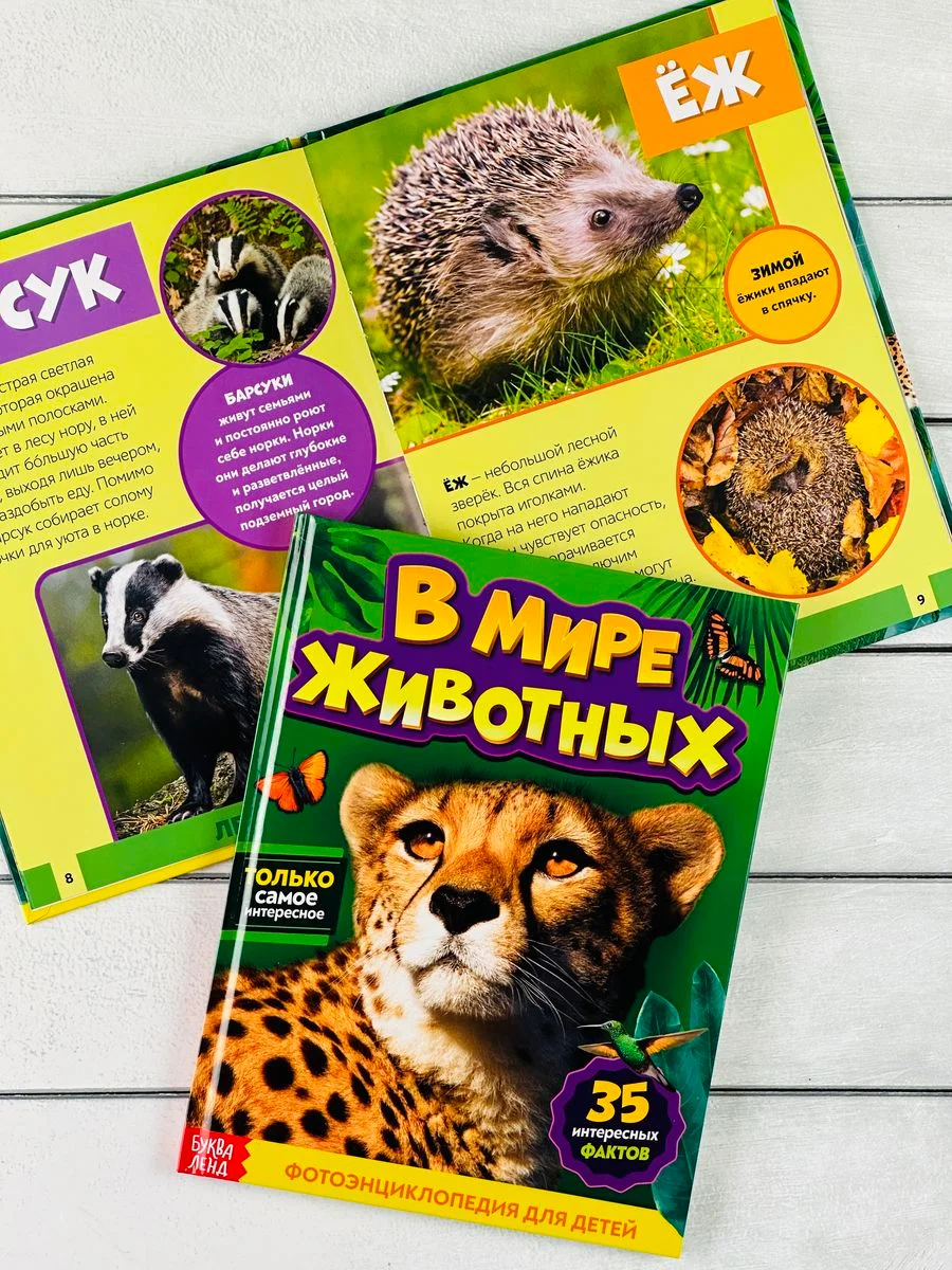 Энциклопедия для детей В мире животных Фото Картинки 48стр