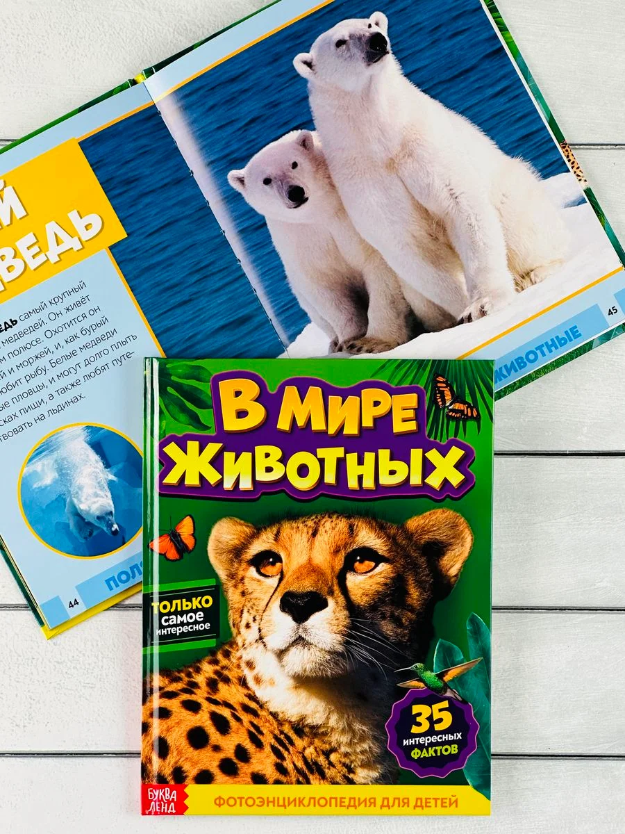 Энциклопедия для детей В мире животных Фото Картинки 48стр