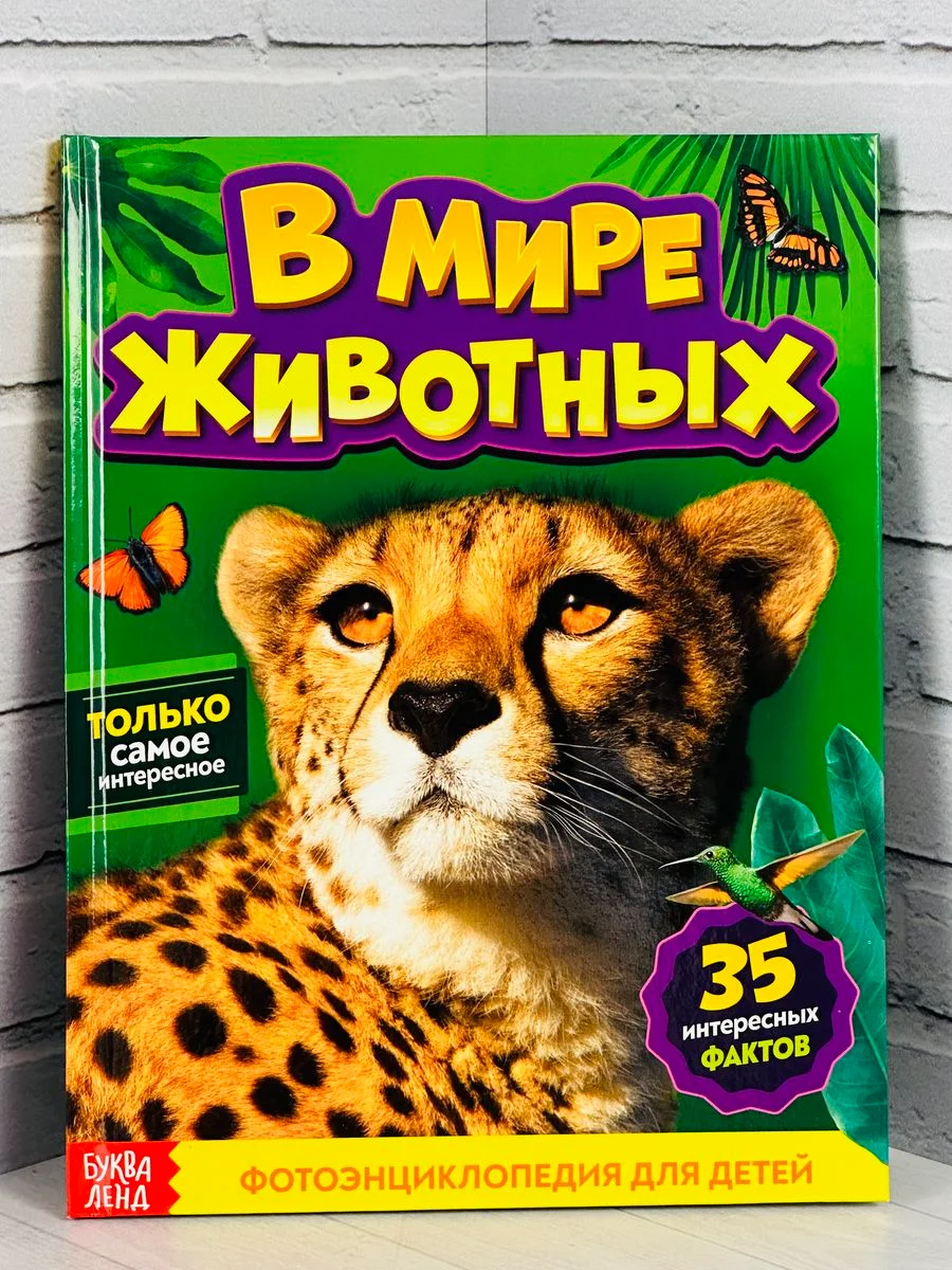 Энциклопедия для детей В мире животных Фото Картинки 48стр