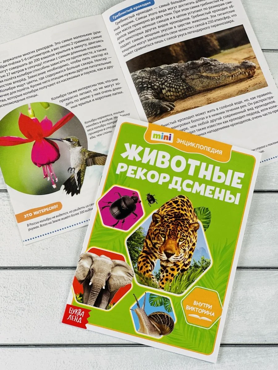 Мини энциклопедия набор 6шт Животные Звери Динозавр Акула