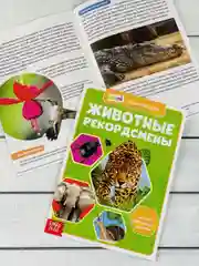 Мини энциклопедия набор 6шт Животные Звери Динозавр Акула