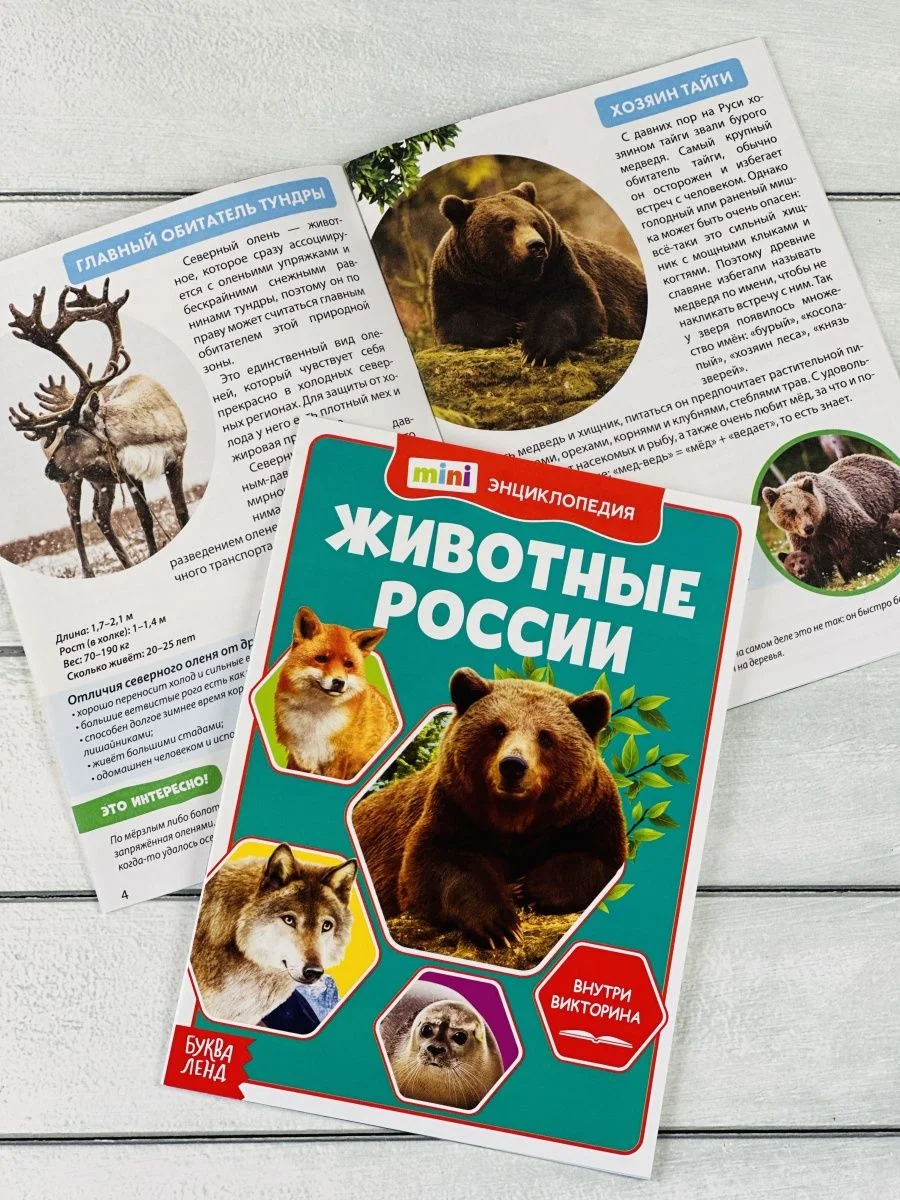 Мини энциклопедия набор 6шт Животные Звери Динозавр Акула