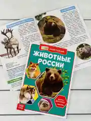 Мини энциклопедия набор 6шт Животные Звери Динозавр Акула