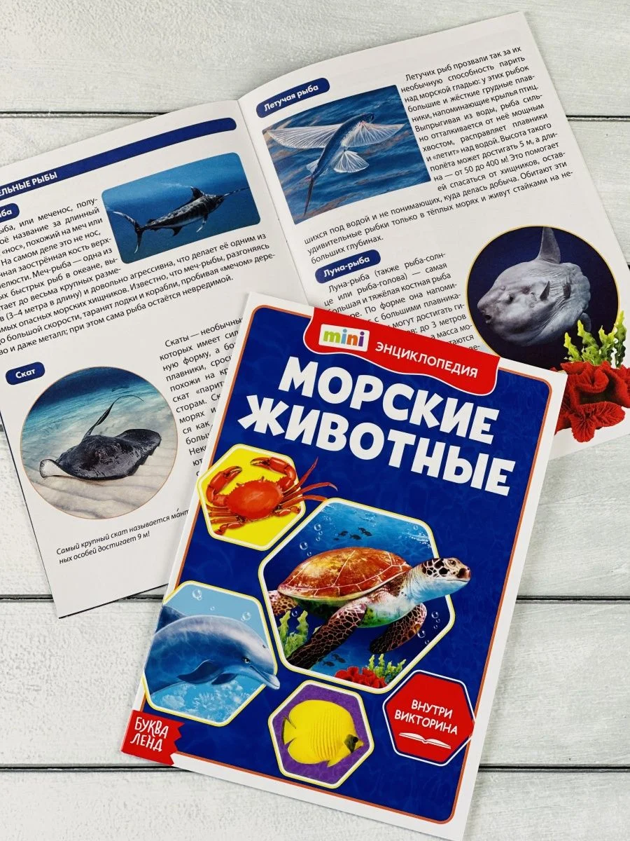 Мини энциклопедия набор 6шт Животные Звери Динозавр Акула