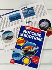 Мини энциклопедия набор 6шт Животные Звери Динозавр Акула