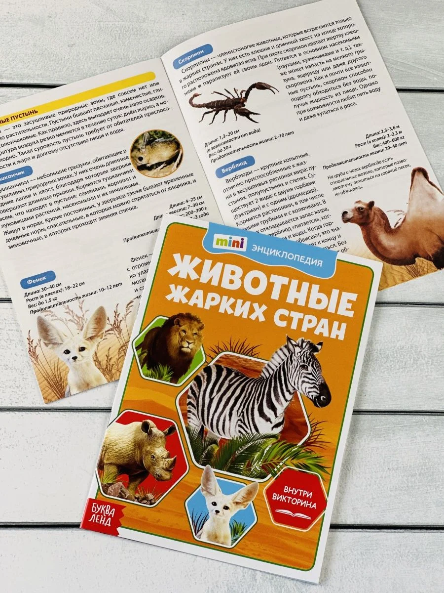 Мини энциклопедия набор 6шт Животные Звери Динозавр Акула