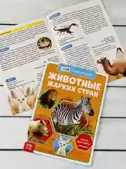 Мини энциклопедия набор 6шт Животные Звери Динозавр Акула