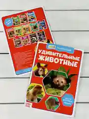 Мини энциклопедия набор 6шт Животные Звери Динозавр Акула