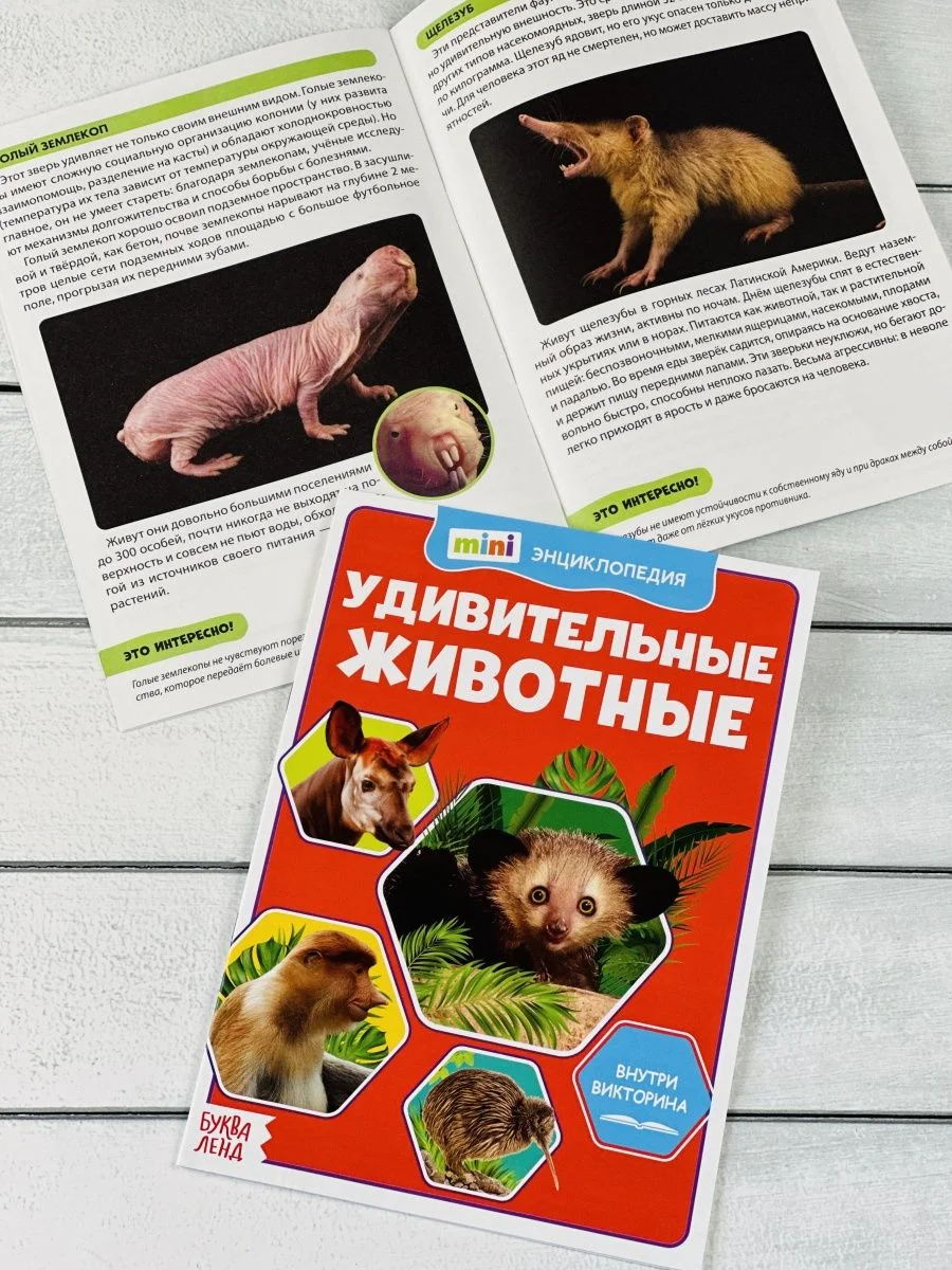Мини энциклопедия набор 6шт Животные Звери Динозавр Акула