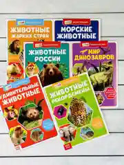 Мини энциклопедия набор 6шт Животные Звери Динозавр Акула