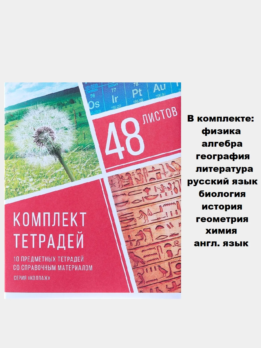 Аметистовый тетрадь предметная 48 листов, набор/комплект из 10 тетрадей со справочным материалом