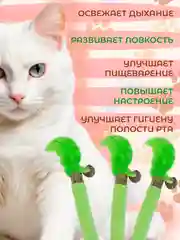 Зеленый органическая палочка-дразнилка из дерева мататаби
