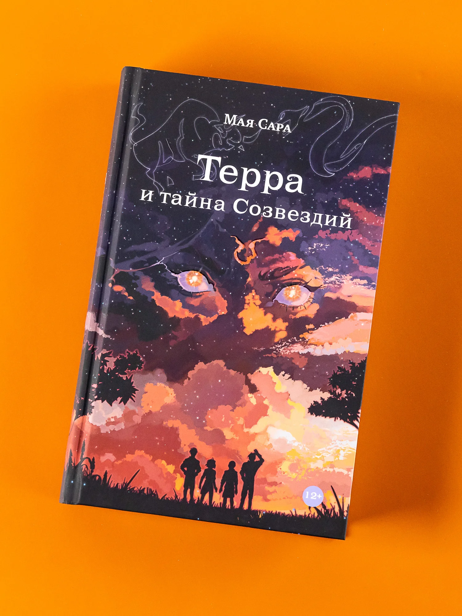 Терра и тайна созвездий. Книга 1