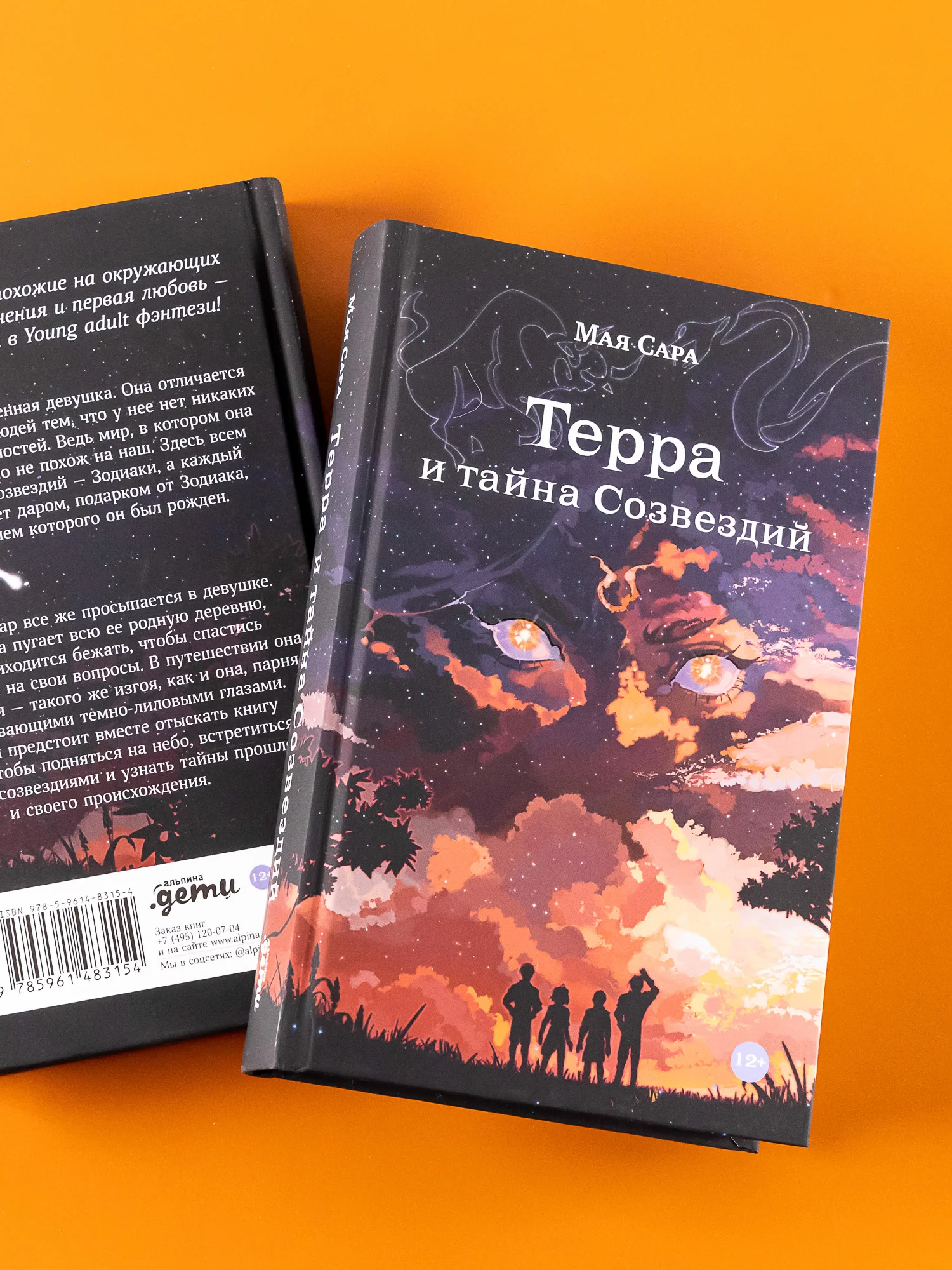 Терра и тайна созвездий. Книга 1