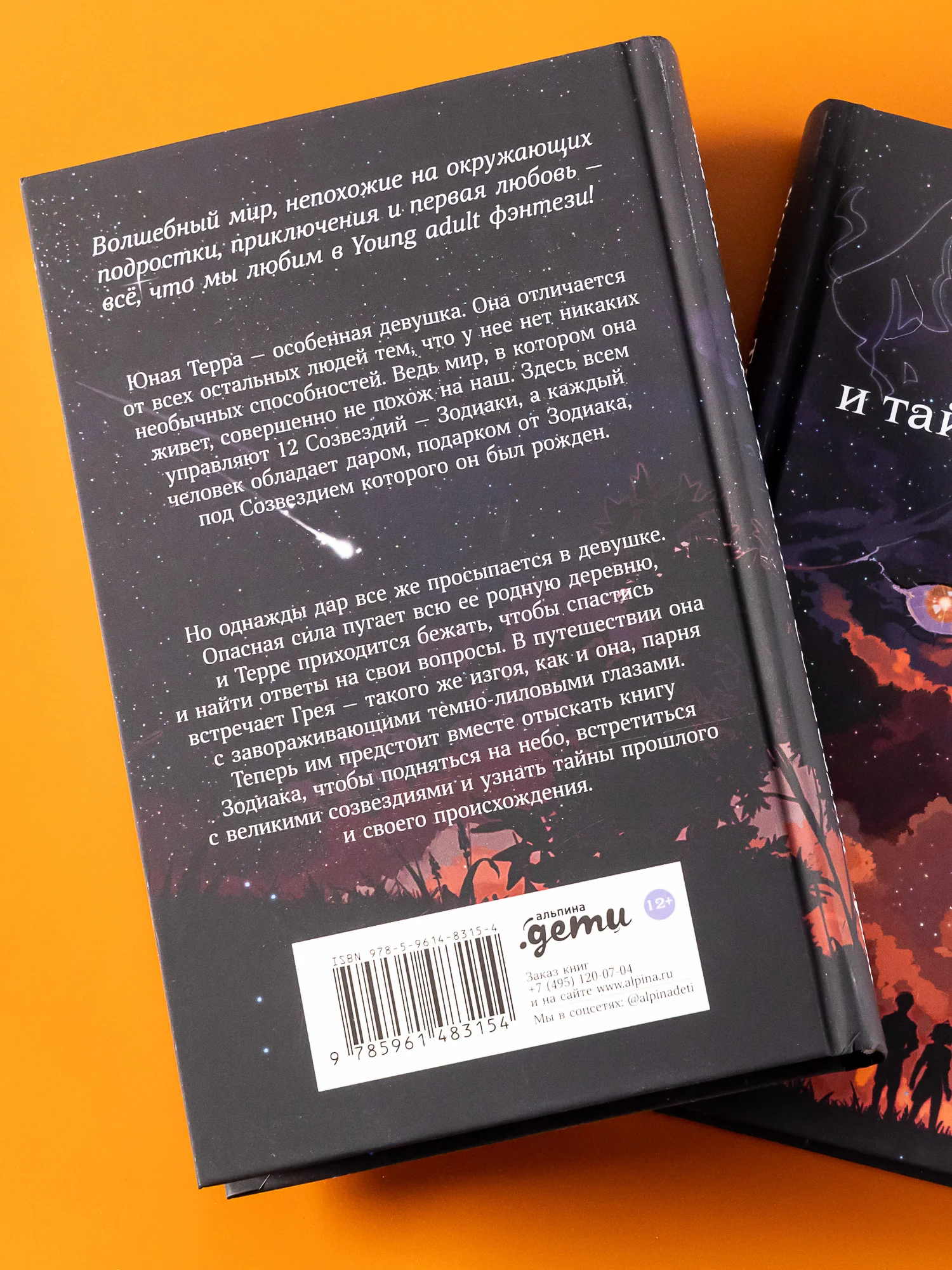 Терра и тайна созвездий. Книга 1