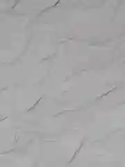 Шторка для ванной DeNASTIA "Жатка" 200x200см, ПЭ с водоотталкивающей пропиткой, св-серая