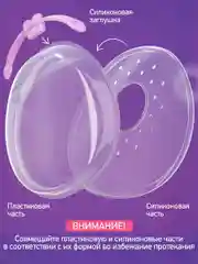 Сиреневый молокосборник
