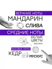 Парфюмерная вода 90 мл Art&nose Composition #8