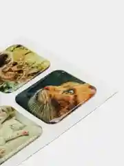 Багровый 3d наклейки на чехол телефона, 20 дизайнов