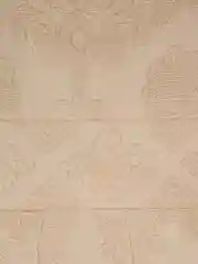 Бежевый махровое покрывало на кровать  ,Размер -150x200,Ткань - махра