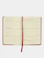 Еженедельник датированный 2025 Brauberg, планер, планинг, записная книжка А5
