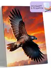 Картина по номерам на холсте с подрамником "Полёт ястреба", 40*50