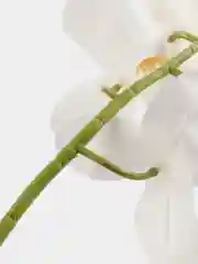 Белый искусственные цветы "Ветка Орхидеи"
