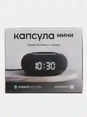 Умная колонка Капсула Мини c голосовым помощником Марусей от Vk темно-серая (MRC02BK)