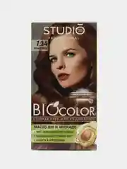 Комплект STUDIO Professional BIOcolor для окрашивания волос 7.34 лесной орех