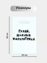 Подарочный пакет с приколами  "Гуляй шальная императрица" 20 х 30 см