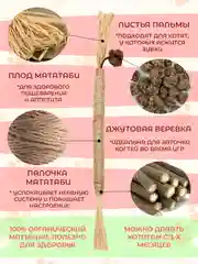 Палочка-дразнилка из растения Мататаби: полезное лакомство для кошек