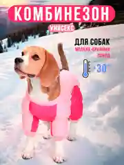 Вишнёвый тёплая зимняя куртка, комбинезон, костюм со светоотражающими полосками для собак
