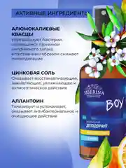 Дезодорант Siberina "Фруктовый заряд" с цинком 50 мл