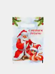 Коралловый пакет подарочный новогодний полиэтиленовый , 20 х 30 см, 22 х 30 см