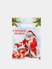Коралловый пакет подарочный новогодний полиэтиленовый , 20 х 30 см, 22 х 30 см