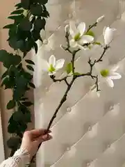 Белый искусственные цветы для декора Магнолия 1 ветка