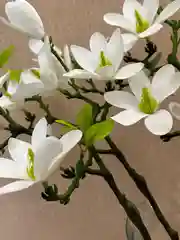 Белый искусственные цветы для декора Магнолия 1 ветка