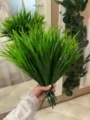 Искусственная трава осока ветки