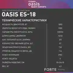 Бирюзовый пила электрическая цепная сетевая Oasis / электропила