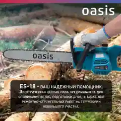 Бирюзовый пила электрическая цепная сетевая Oasis / электропила