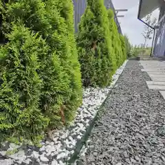 Зеленый бордюр садовый Gidrolica Country зеленый, с отверстиями
