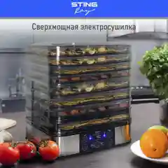 Черный электросушилка STINGRAY ST-FD701B 12 поддонов черный жемчуг