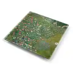 Умные диагностические весы с LED дисплеем STINGRAY ST-SC5001A Итальянский садик