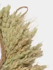 Венок натуральный, из сухоцветов, пшеница, вейник, ива, 3 вида