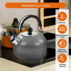 Чайник со свистком HOME ELEMENT HE-WK1602, 2л, нерж. сталь, темно-серый матовый