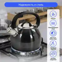 Черный чайник со свистком MARTA MT-3089 2 л/ нержавеющая сталь, черный